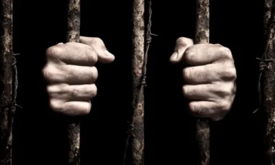 «Крымские курорты» ответят по закону