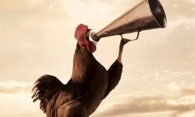 Чиновники от туризма снова дали повод посмеяться