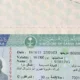 Виза Саудовской Аравии подорожала в 10 раз