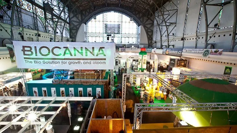Ярмарка целительной конопли пройдет в Праге
