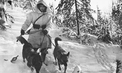 Что ещё придумают власти для того