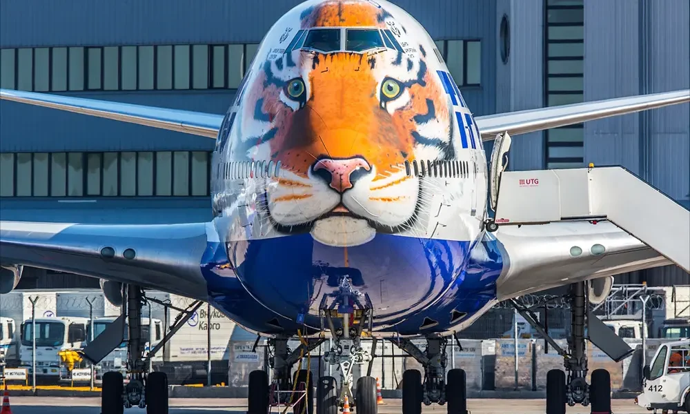 Как туррынок России пережил год без «Трансаэро»?