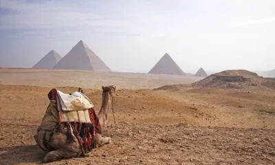 Египетские СМИ рассказали о том