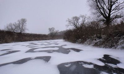 Выпадение мокрого снега ожидается на Кубани