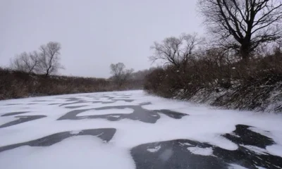 Выпадение мокрого снега ожидается на Кубани