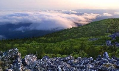 Сихотэ-Алинский заповедник готовит маршруты для многодневных походов