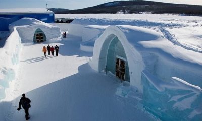 Шведский ледяной отель стал круглогодичным