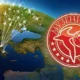 Откройте Грецию вместе с Музенидис!