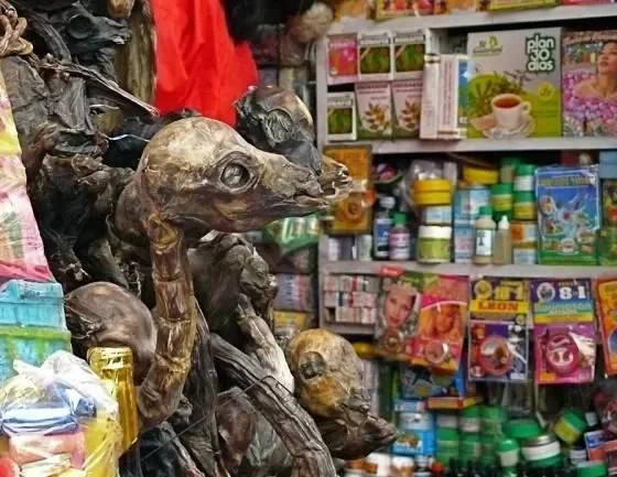 Тайны Рынка Ведьм Ла-Паса