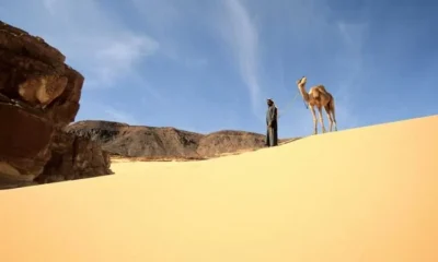 Погода в Египте в марте 2017-го года