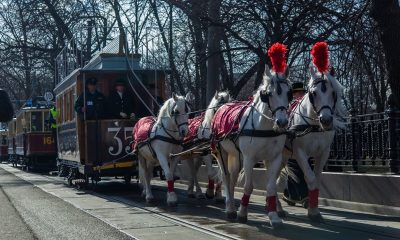 Уникальный конный вагон представят гостям выставки ретротранспорта в Москве