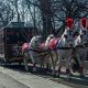 Уникальный конный вагон представят гостям выставки ретротранспорта в Москве