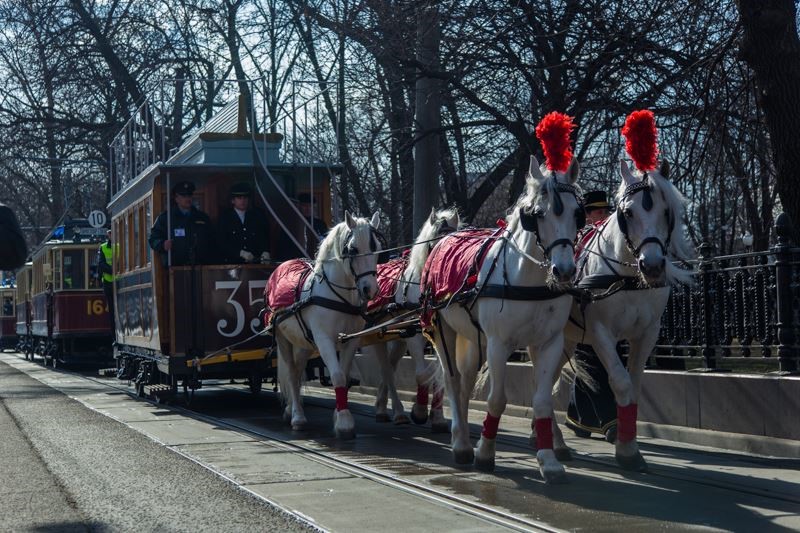 Уникальный конный вагон представят гостям выставки ретротранспорта в Москве