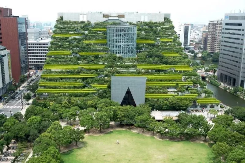 Зелёный дом в префектуре Фукуока, в Японии, обещает урожай