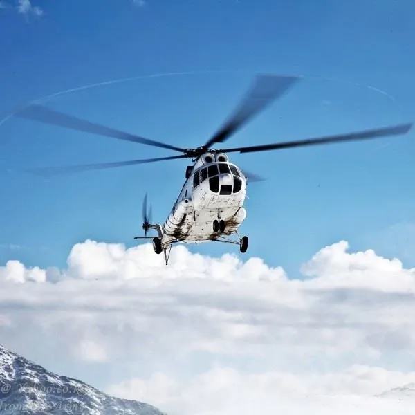 Туристы из США и Франции пострадали при жесткой посадке вертолета на Камчатке