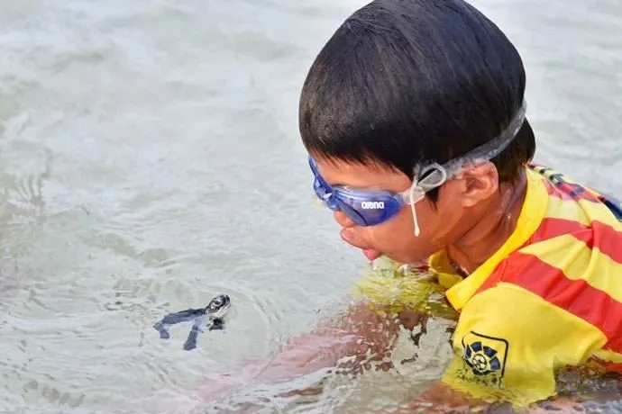 Поплавать с черепахами