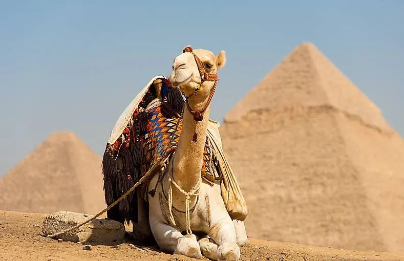 Почему Египет готов к приёму туристов из РФ, а российские власти нет?