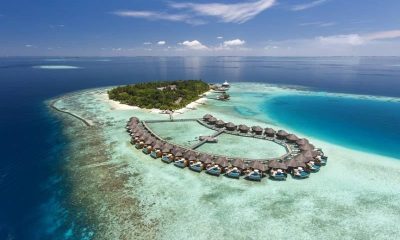 Подводные прогулки с морскими биологами курорта Baros Maldives