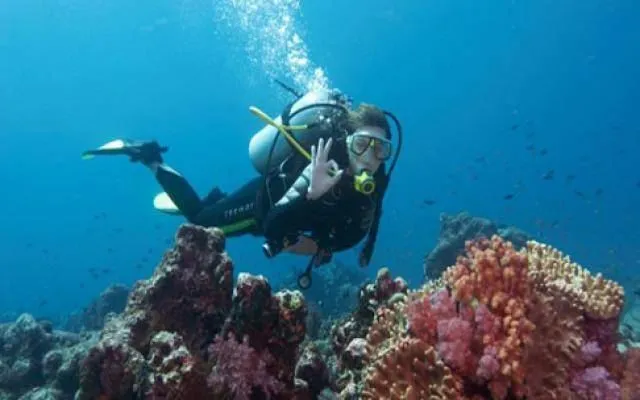 Тропический рай для дайвинга