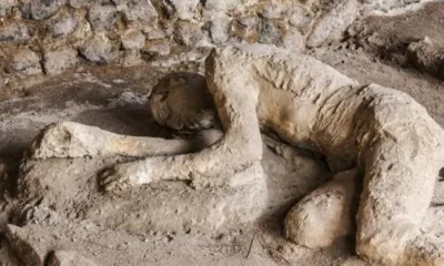 Туристы все чаще возвращают в Италию незаконные сувениры из Помпеи