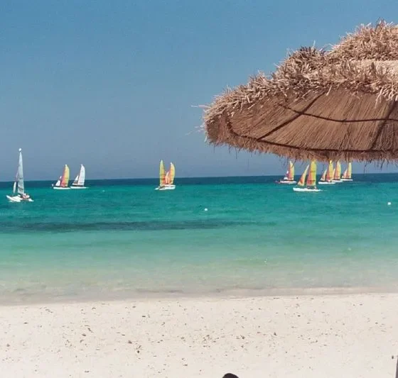 Остров Джерба - жемчужина Северной Африки