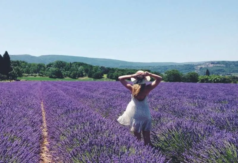 Погода во Франции в июне 2017-го года