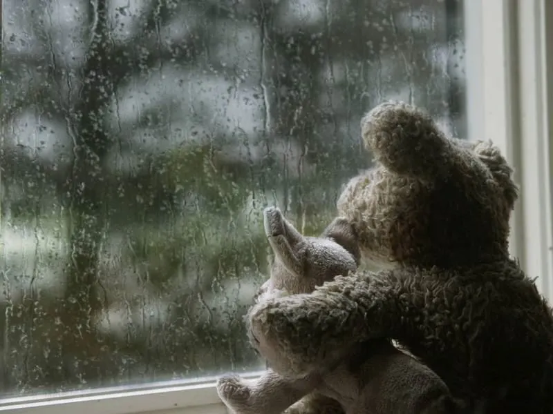 Погода в России гонит нас к морю