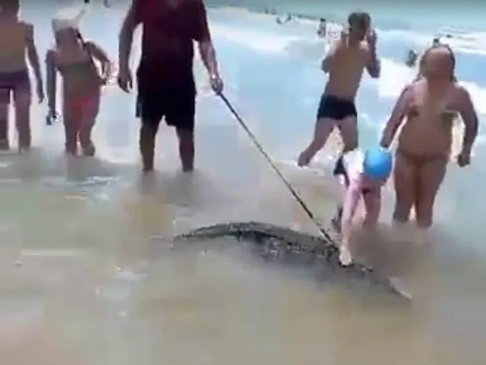 Мужчину, купавшего крокодила в Черном море, задержали в Новороссийске