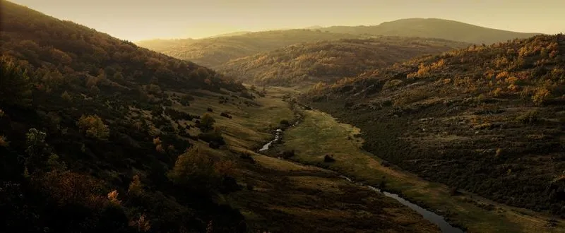 Буковые леса Наварры, Кастилии и Леона и Мадрида войдут в список Всемирного наследия ЮНЕСКО