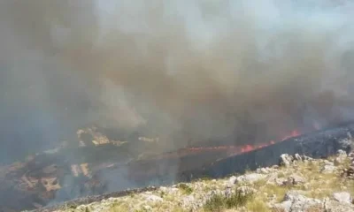 Туристов эвакуируют со склонов Везувия