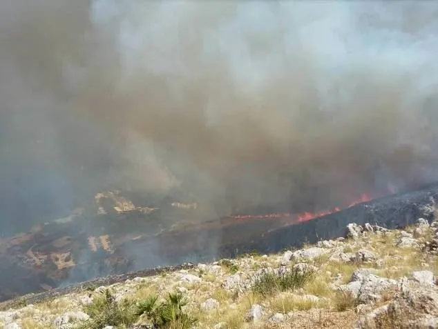 Туристов эвакуируют со склонов Везувия