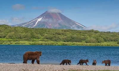 Популярным у туристов регионам предложили ввести собственный рекреационный сбор