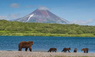 Популярным у туристов регионам предложили ввести собственный рекреационный сбор