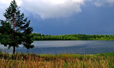 Нижегородская область. Природный парк «Воскресенское Поветлужье»