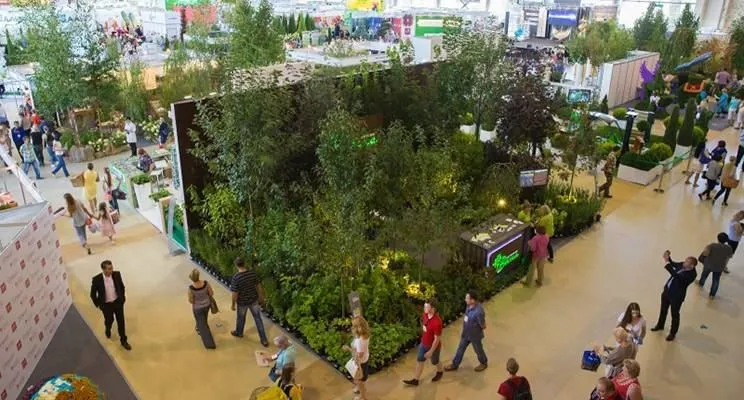 Бесплатно получить билет на «Цветы/Flowers-2017» — это реально