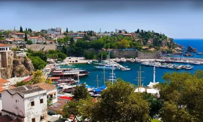 Роспотребнадзор и туроператоры обсудили ситуацию с вирусом Коксаки в Турции