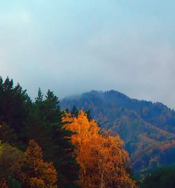 Горный Алтай. Белокуриха – недооценённое место силы