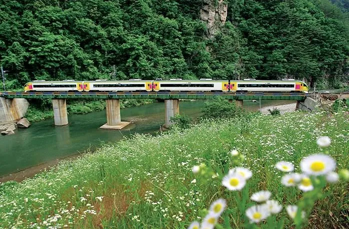 Южная Корея. Путешествие по стране на туристических поездах. Видео
