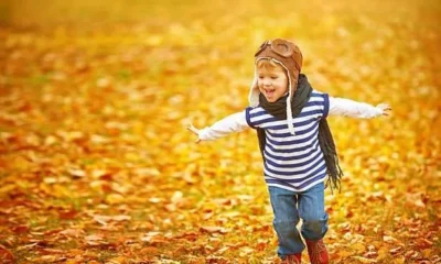 Куда пойти с ребёнком в предстоящие выходные 30 сентября – 1 октября в Москве. Видео