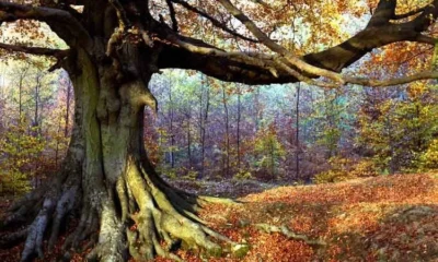 Погода в Турции в октябре 2017-го года