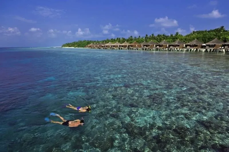 Снорклинг сафари в Kuramathi Island Resort Maldives