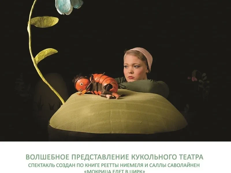 Лаппеенранта.Представление кукольного театра на русском языке «Цирк
