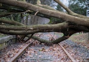 Ураган в Европе унес жизни 10 человек