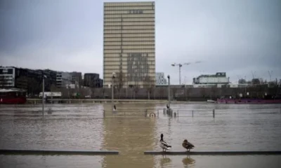 Наводнение в Париже привело к закрытию крупных музеев и круизов по Сене