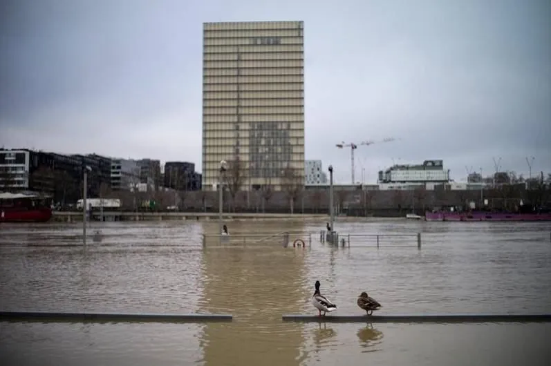 Наводнение в Париже привело к закрытию крупных музеев и круизов по Сене