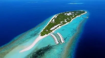 Dhigali Maldives — экстремальная встреча с морским дьяволом!