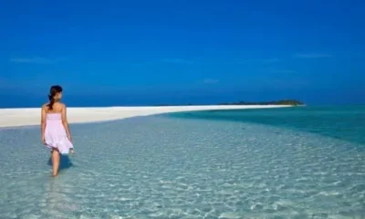 Океаническое сафари в отеле Kuramathi Maldives