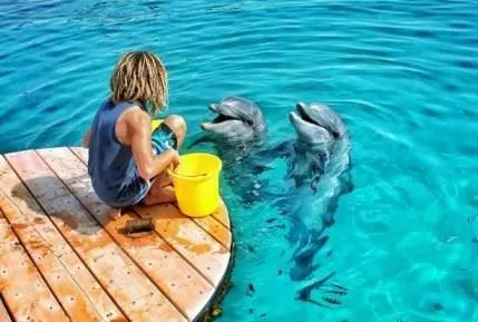 Прирост турпотока из России в Израиль составил 10% по итогам января 2018 года