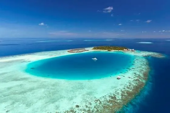 Прогулки под водой с морскими биологами курорта Baros Maldives