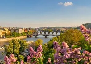 Выбран самый зеленый город мира